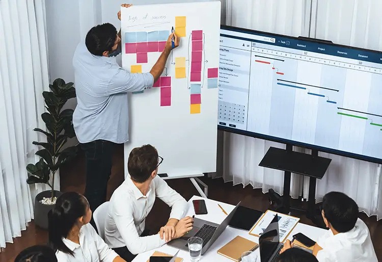 project management